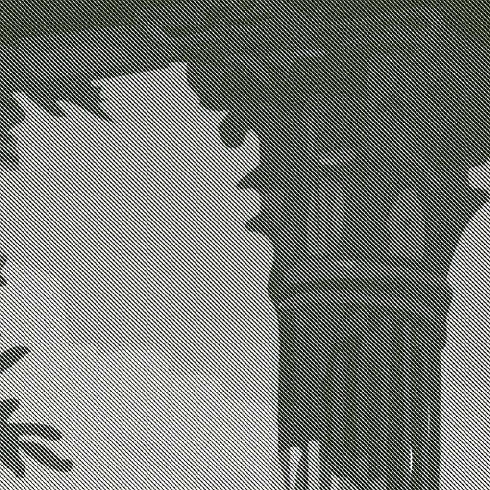 Whispers of the Forgotten Sage Green Edition | Wallpaper — carta da parati MaVoix by Magnus Gjoen