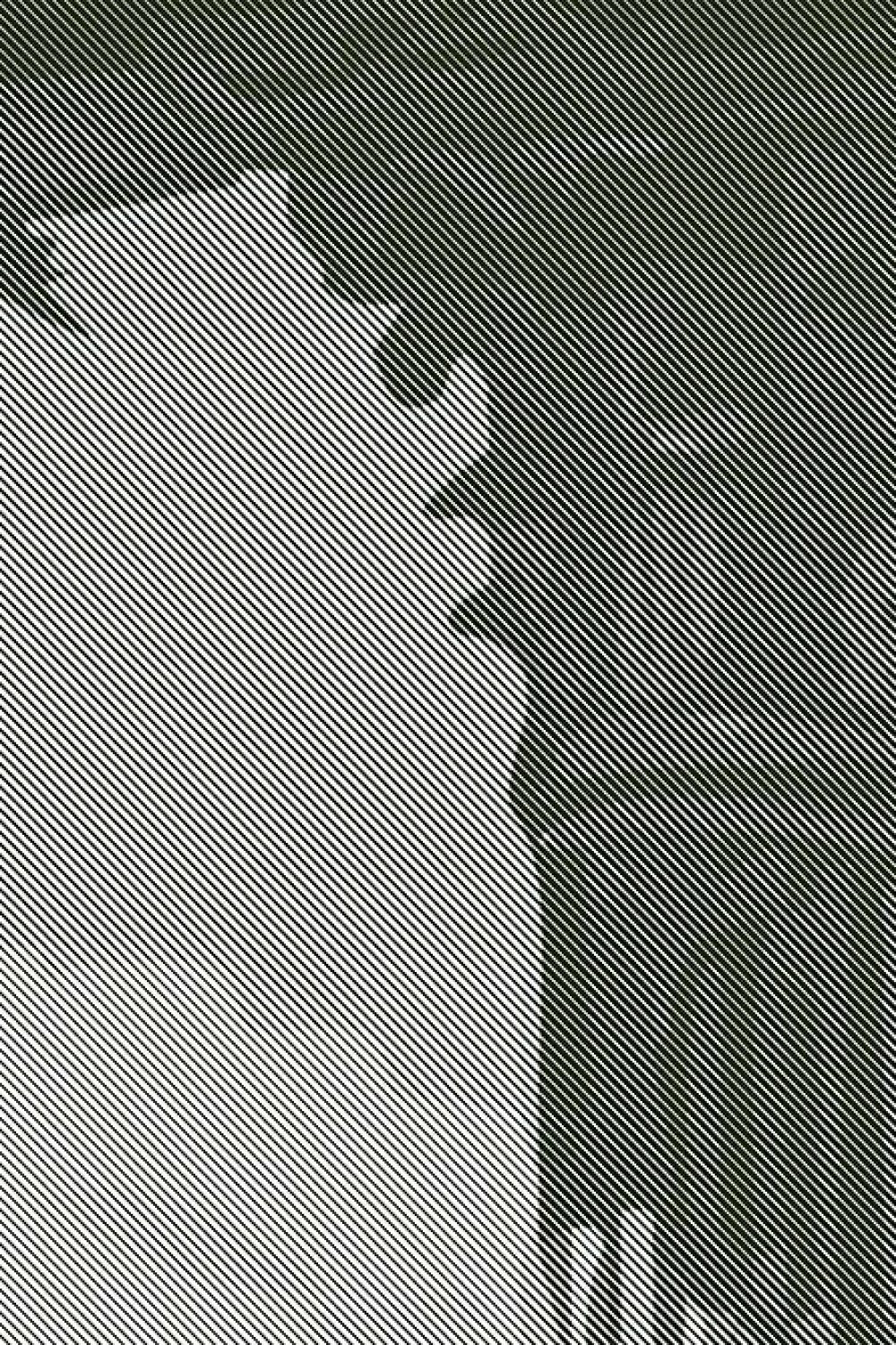 Whispers of the Forgotten Sage Green Edition | Wallpaper — carta da parati MaVoix by Magnus Gjoen