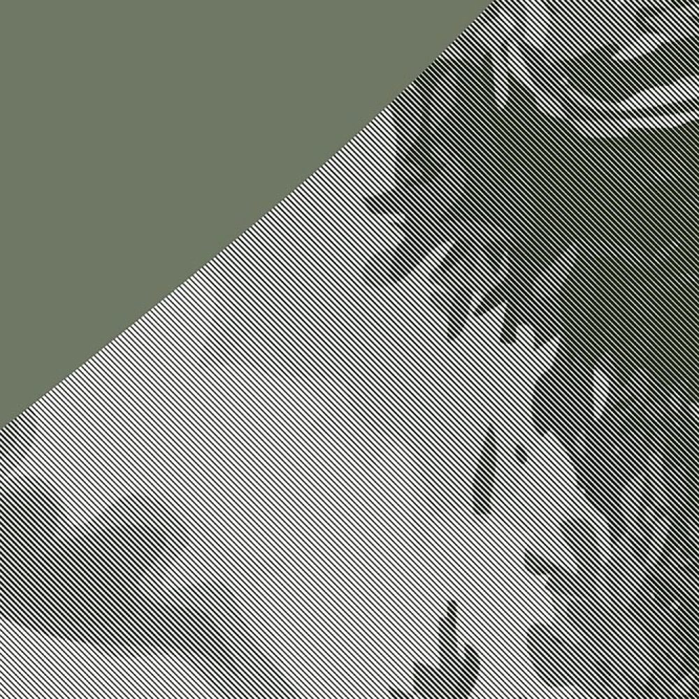 Whispers of the Forgotten Sage Green Edition | Wallpaper — carta da parati MaVoix by Magnus Gjoen